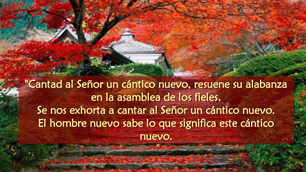 Se nos exhorta a cantar al Señor un cántico nuevo.
