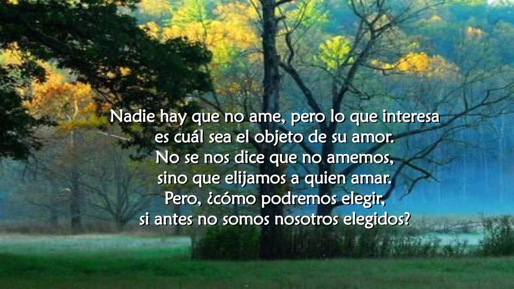 No se nos dice que no amemos, sino que elijamos a quien amar.