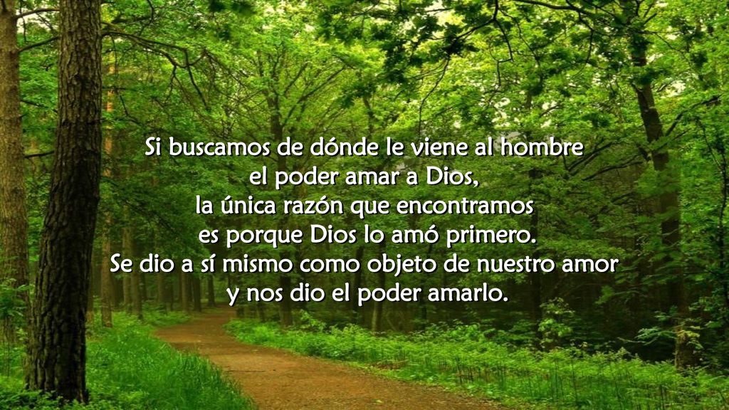 Si buscamos de dónde le viene al hombre el poder amar a Dios,