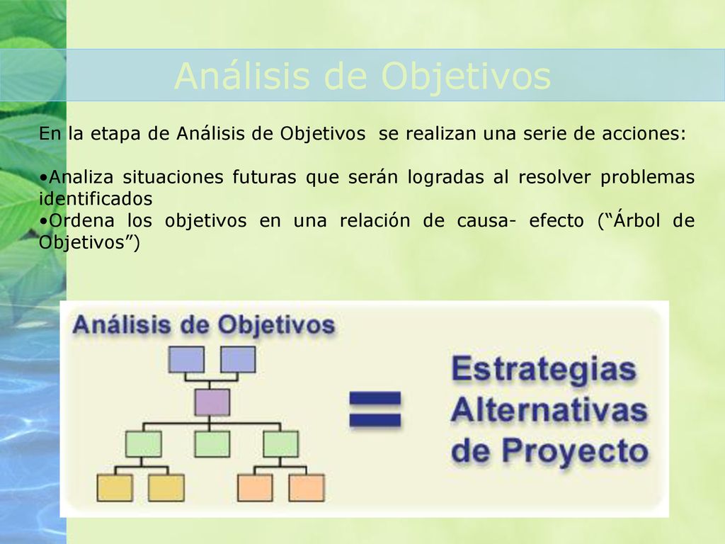Análisis de Objetivos En la etapa de Análisis de Objetivos se realizan una serie de acciones: