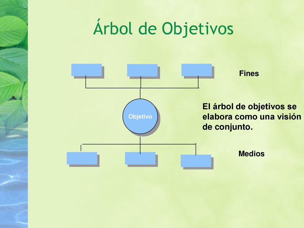 Árbol de Objetivos El árbol de objetivos se elabora como una visión