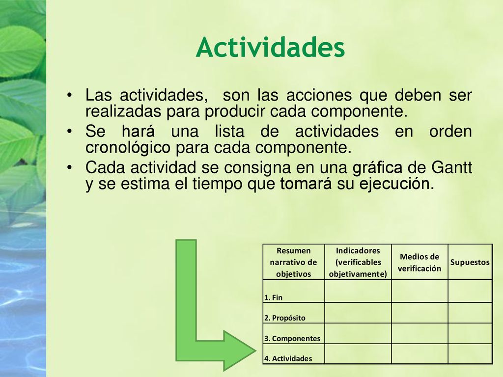 Actividades Las actividades, son las acciones que deben ser realizadas para producir cada componente.