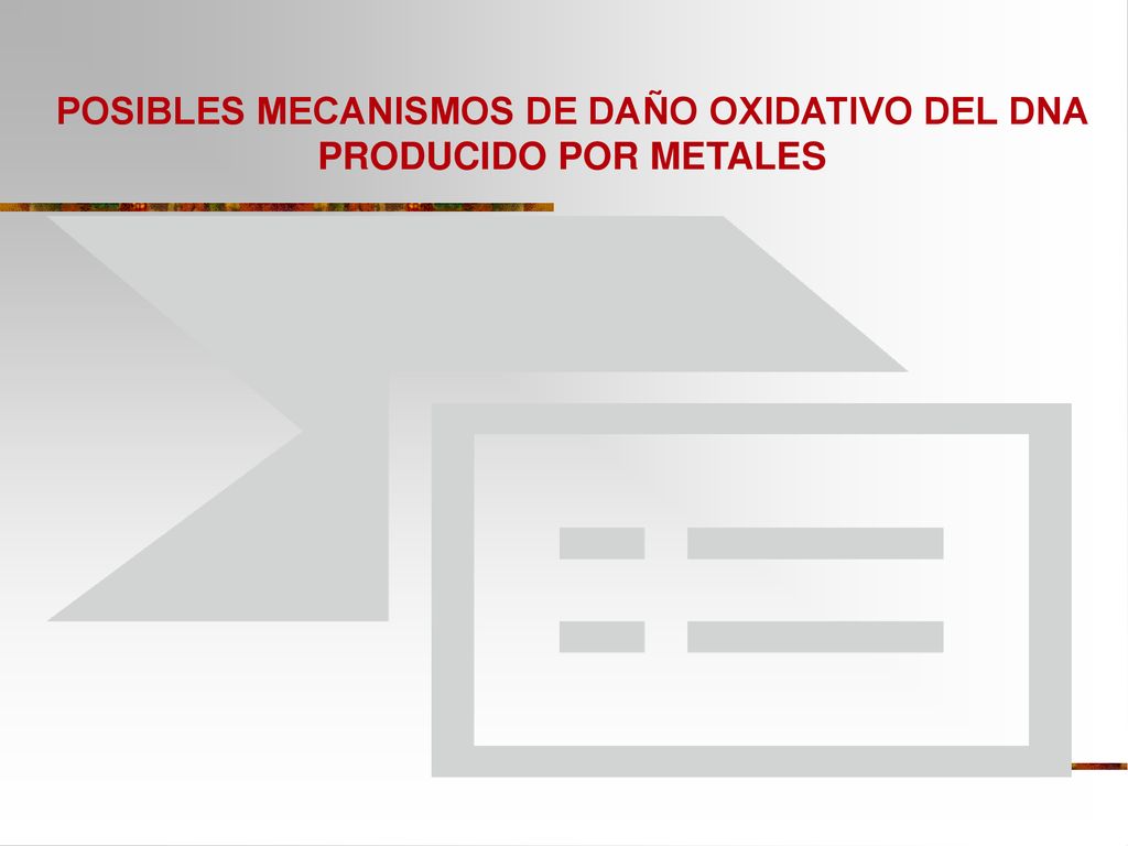 POSIBLES MECANISMOS DE DAÑO OXIDATIVO DEL DNA PRODUCIDO POR METALES