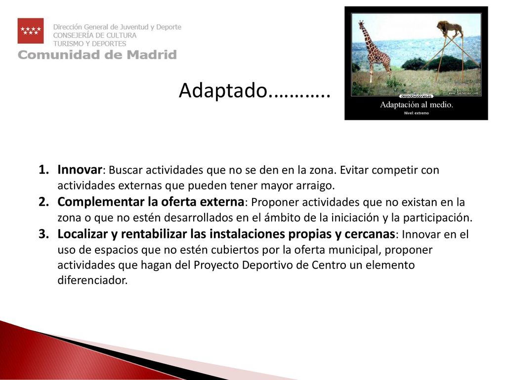 Adaptado.……….. Innovar: Buscar actividades que no se den en la zona. Evitar competir con actividades externas que pueden tener mayor arraigo.