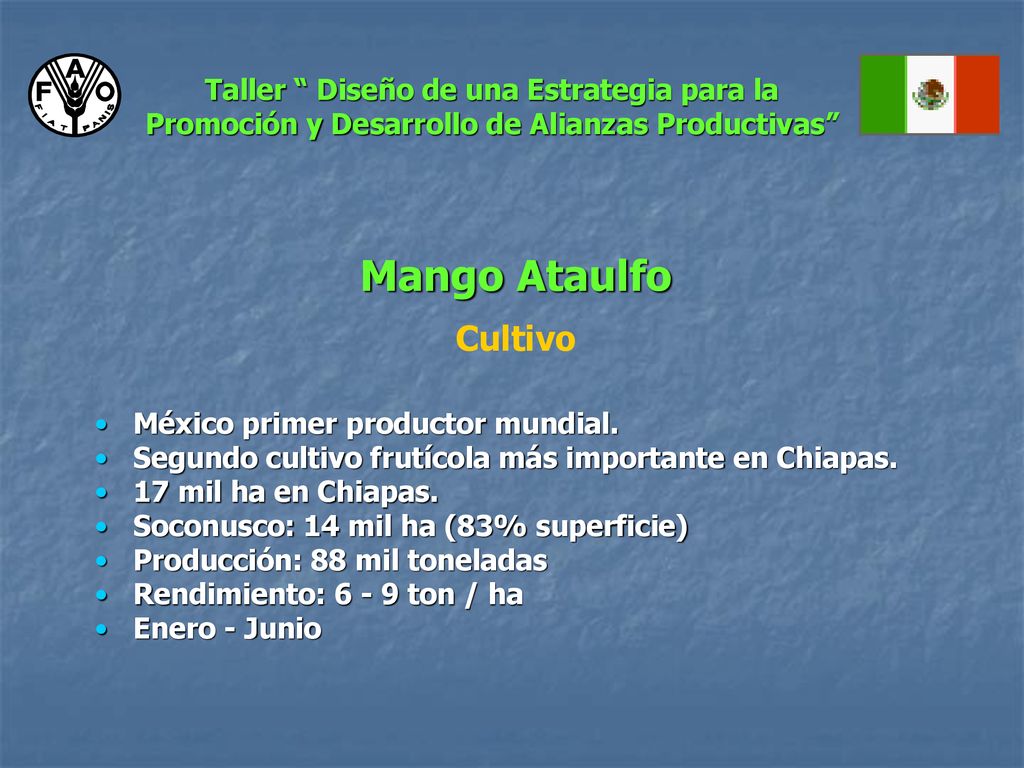 Taller Diseño de una Estrategia para la Promoción y Desarrollo de Alianzas Productivas