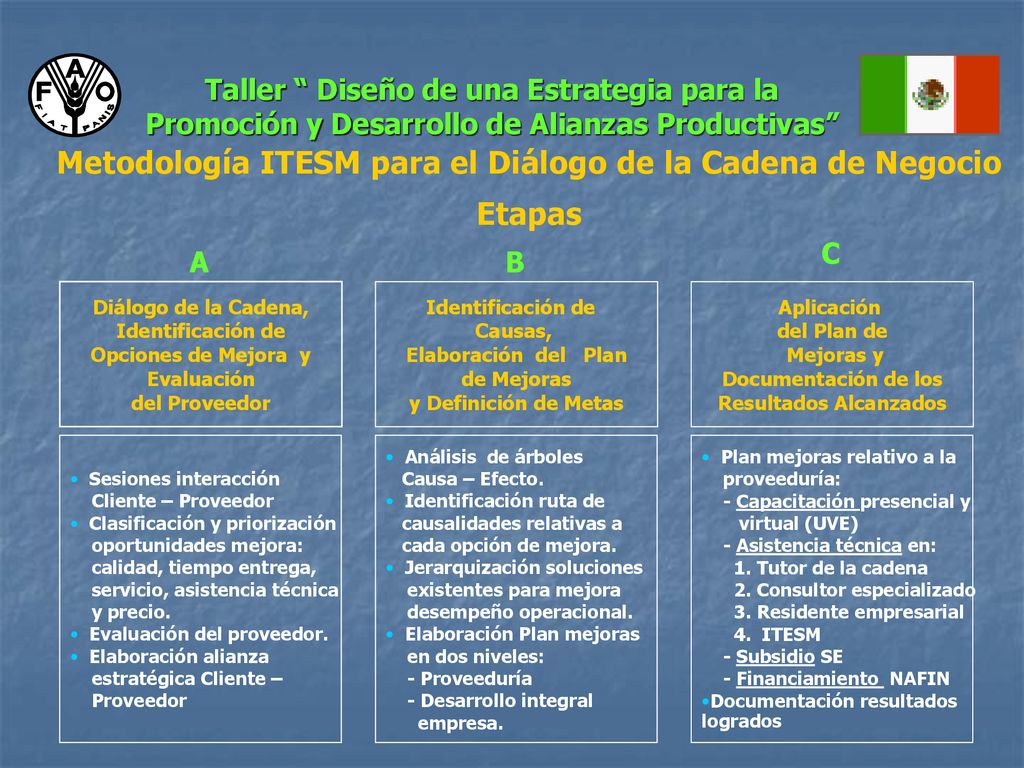 Metodología ITESM para el Diálogo de la Cadena de Negocio Etapas