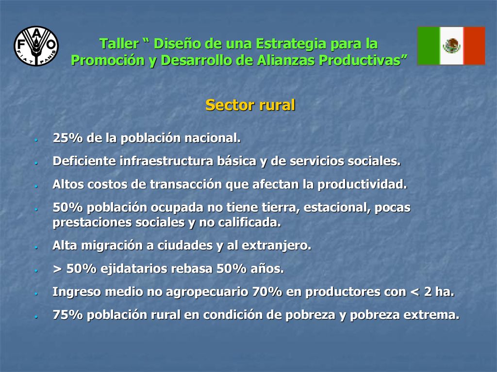 Taller Diseño de una Estrategia para la Promoción y Desarrollo de Alianzas Productivas