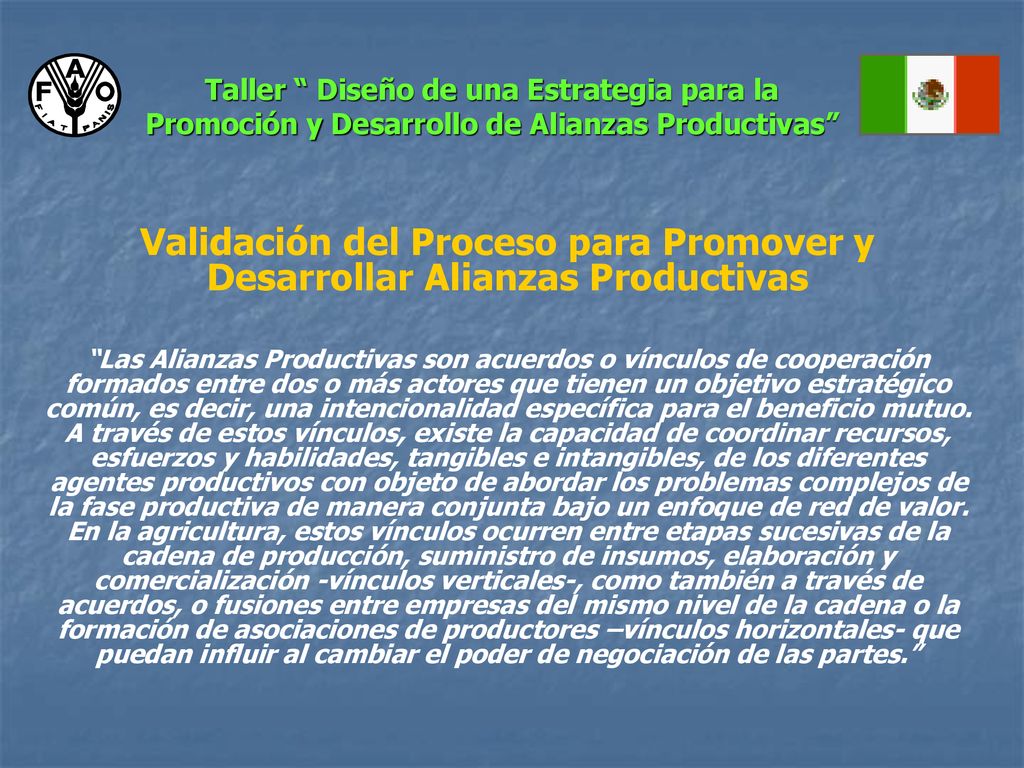 Taller Diseño de una Estrategia para la Promoción y Desarrollo de Alianzas Productivas