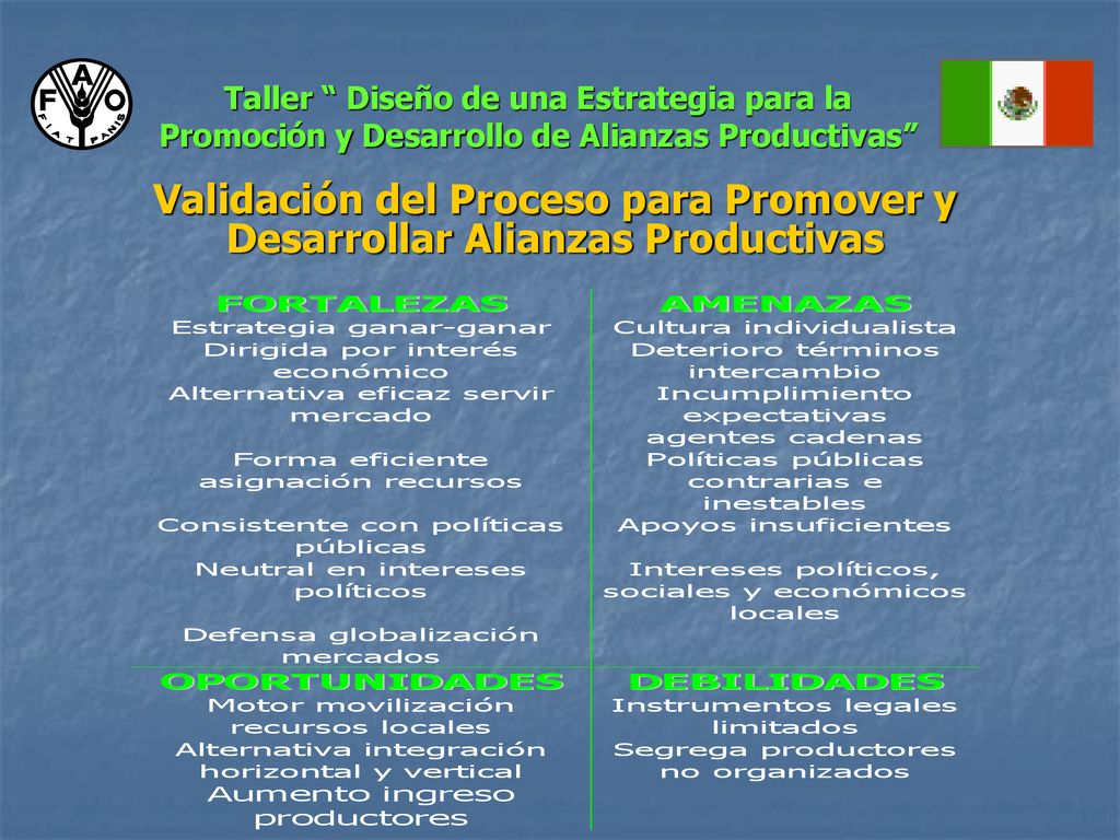 Taller Diseño de una Estrategia para la Promoción y Desarrollo de Alianzas Productivas