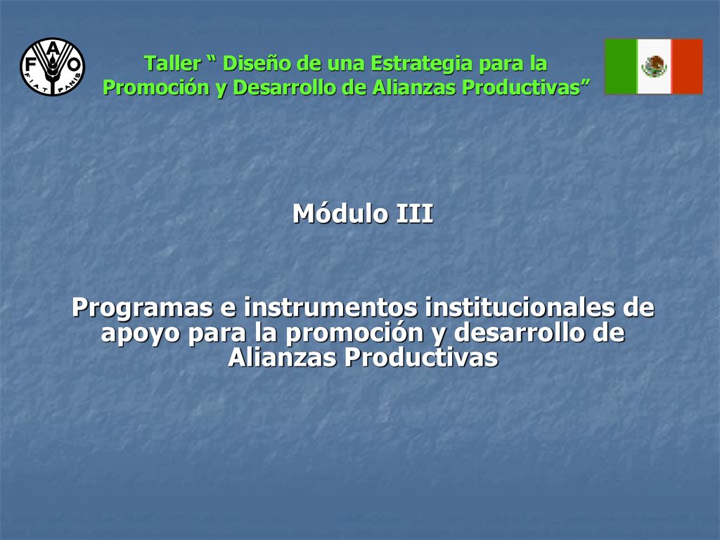 Taller Diseño de una Estrategia para la Promoción y Desarrollo de Alianzas Productivas