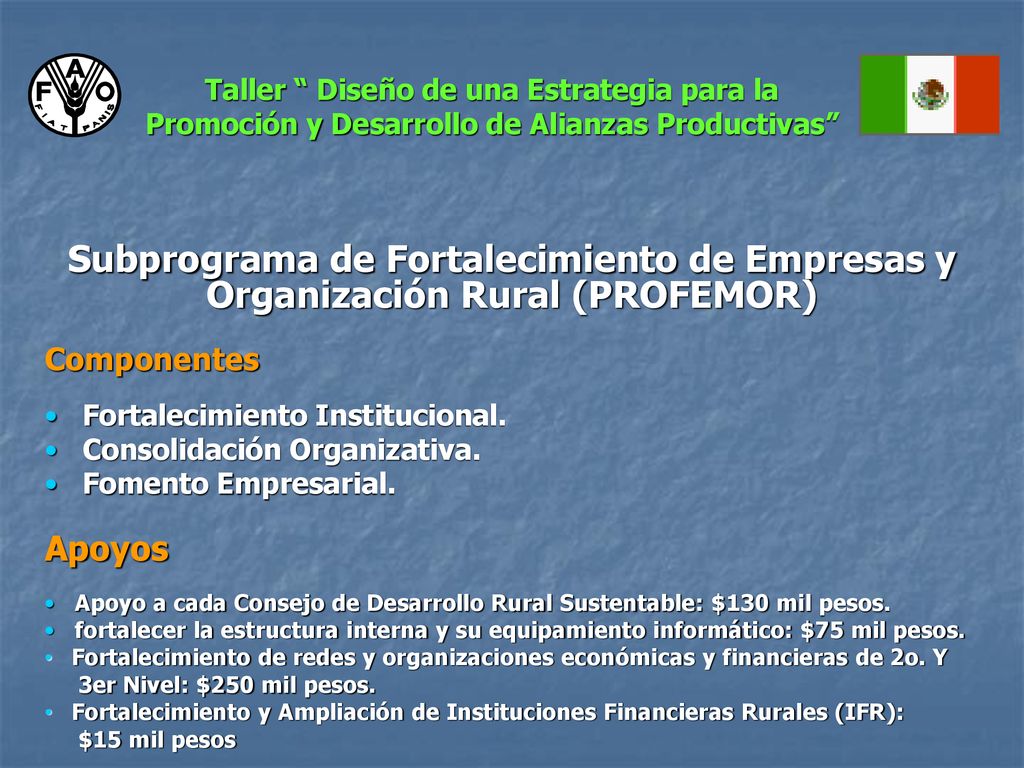Taller Diseño de una Estrategia para la Promoción y Desarrollo de Alianzas Productivas