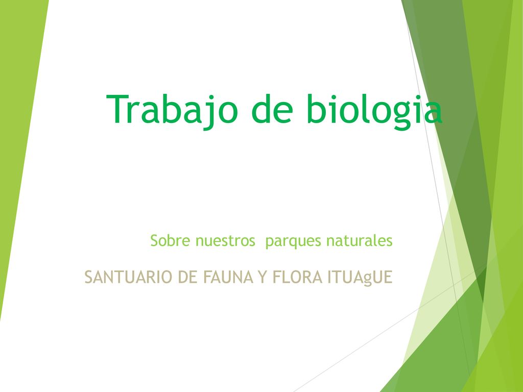 Sobre nuestros parques naturales SANTUARIO DE FAUNA Y FLORA ITUAgUE