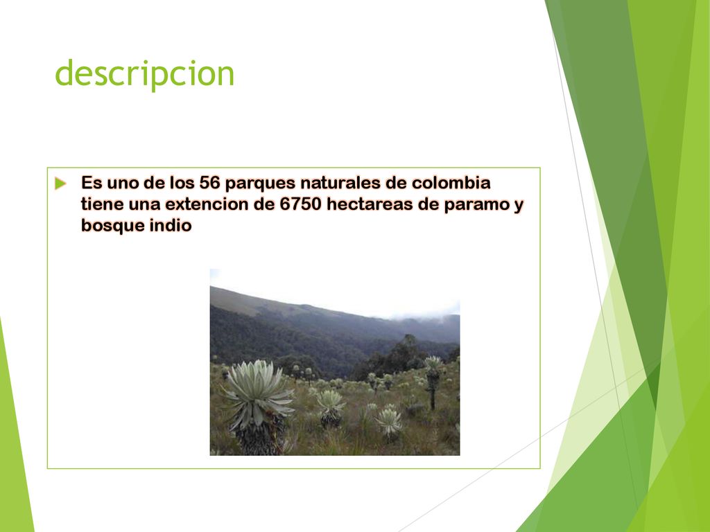 descripcion Es uno de los 56 parques naturales de colombia tiene una extencion de 6750 hectareas de paramo y bosque indio.