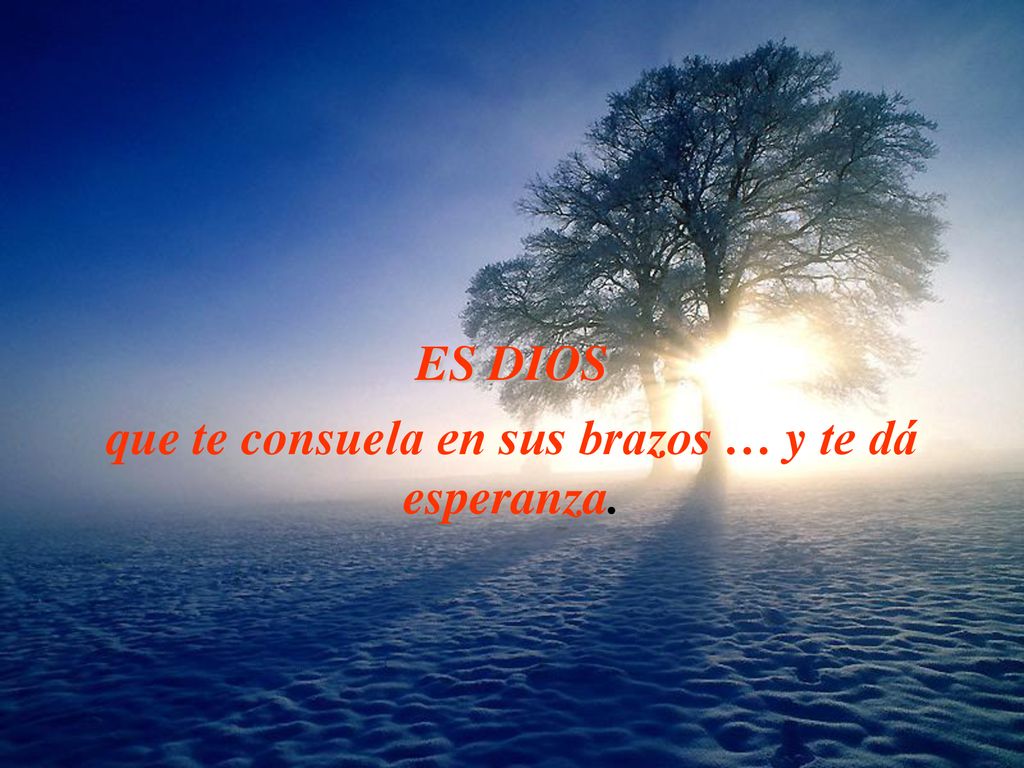 que te consuela en sus brazos … y te dá esperanza.