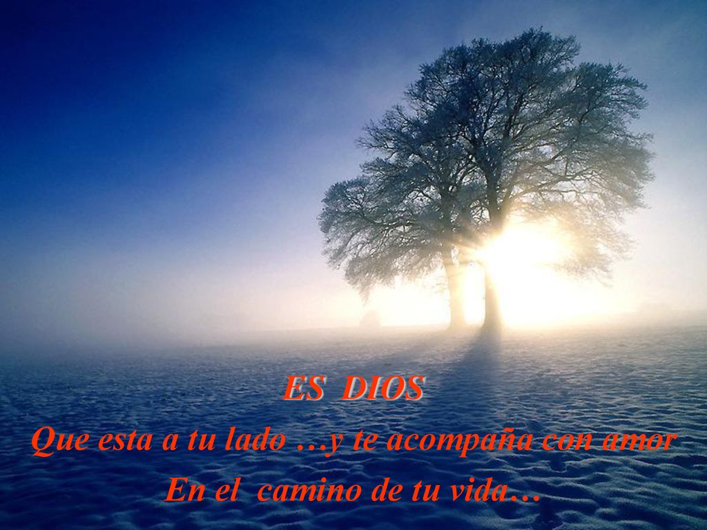 Que esta a tu lado …y te acompaña con amor