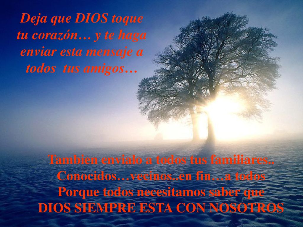 Deja que DIOS toque tu corazón… y te haga enviar esta mensaje a todos tus amigos…