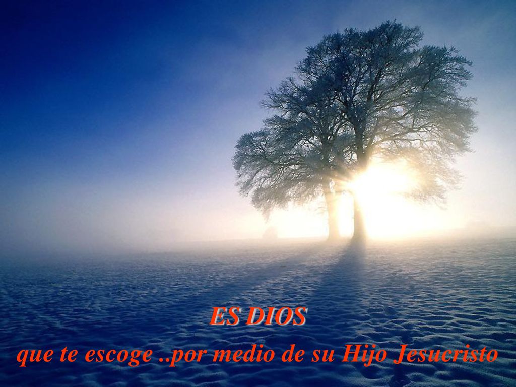 que te escoge ..por medio de su Hijo Jesucristo