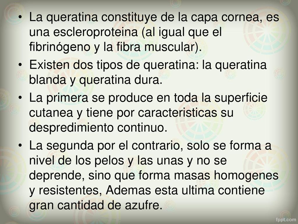 La queratina constituye de la capa cornea, es una escleroproteina (al igual que el fibrinógeno y la fibra muscular).