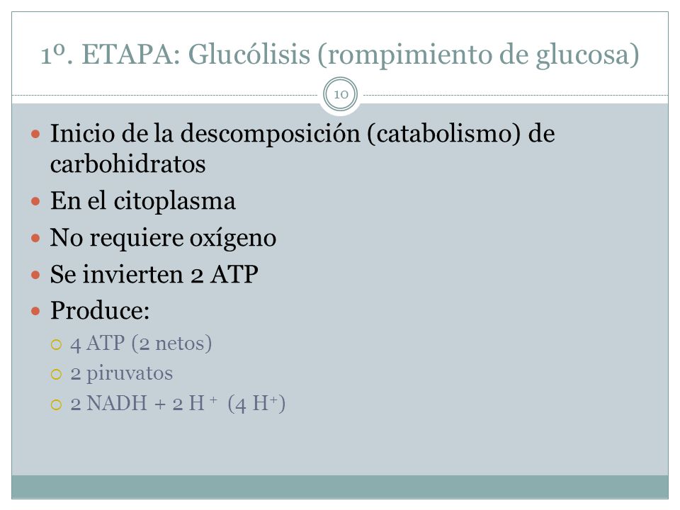 1º. ETAPA: Glucólisis (rompimiento de glucosa)
