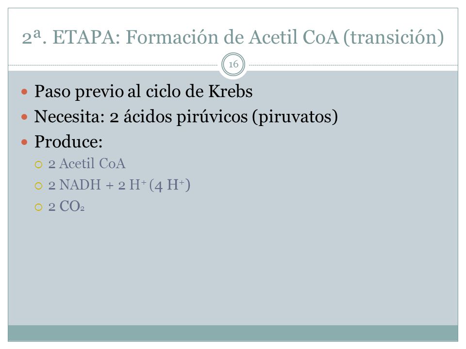 2ª. ETAPA: Formación de Acetil CoA (transición)