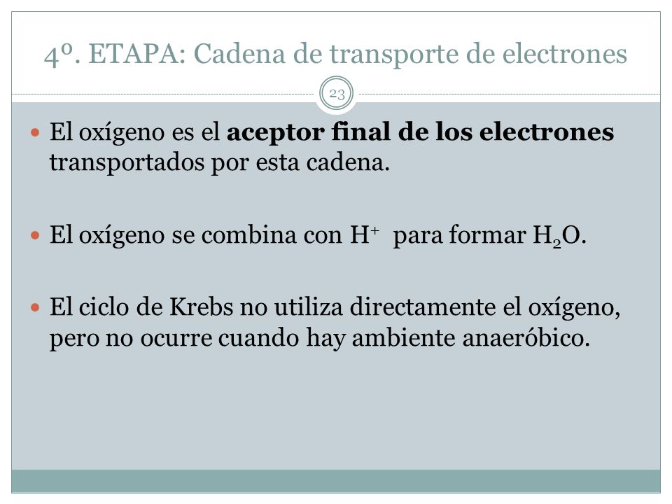 4º. ETAPA: Cadena de transporte de electrones