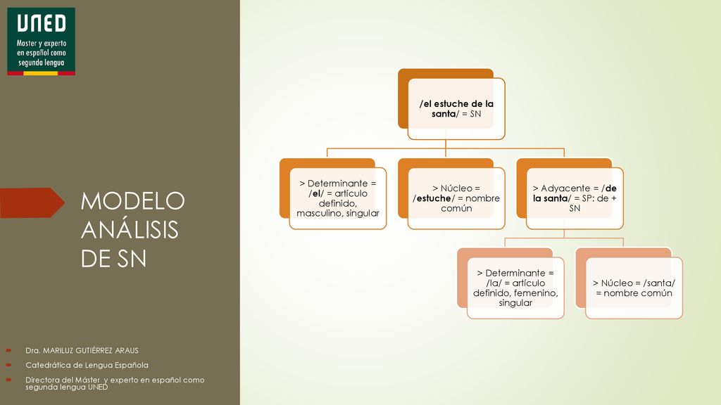 MODELO ANÁLISIS DE SN /el estuche de la santa/ = SN