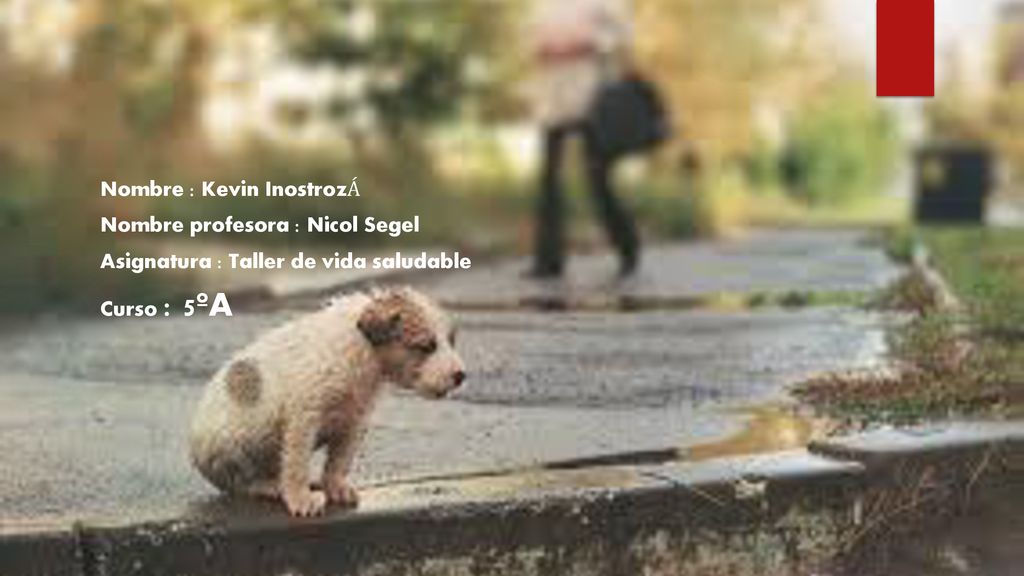 Nombre : Kevin InostrozÁ Nombre profesora : Nicol Segel Asignatura : Taller de vida saludable Curso : 5ºA