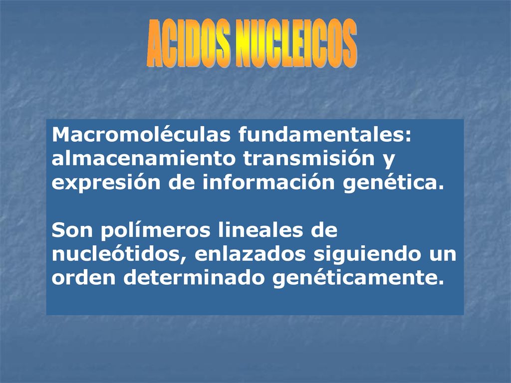 ACIDOS NUCLEICOS Macromoléculas fundamentales: almacenamiento transmisión y expresión de información genética.