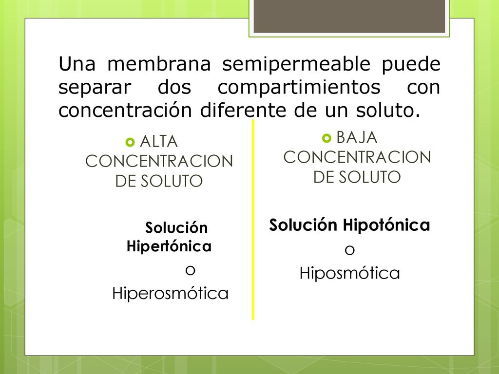 Una membrana semipermeable puede separar dos compartimientos con concentración diferente de un soluto.