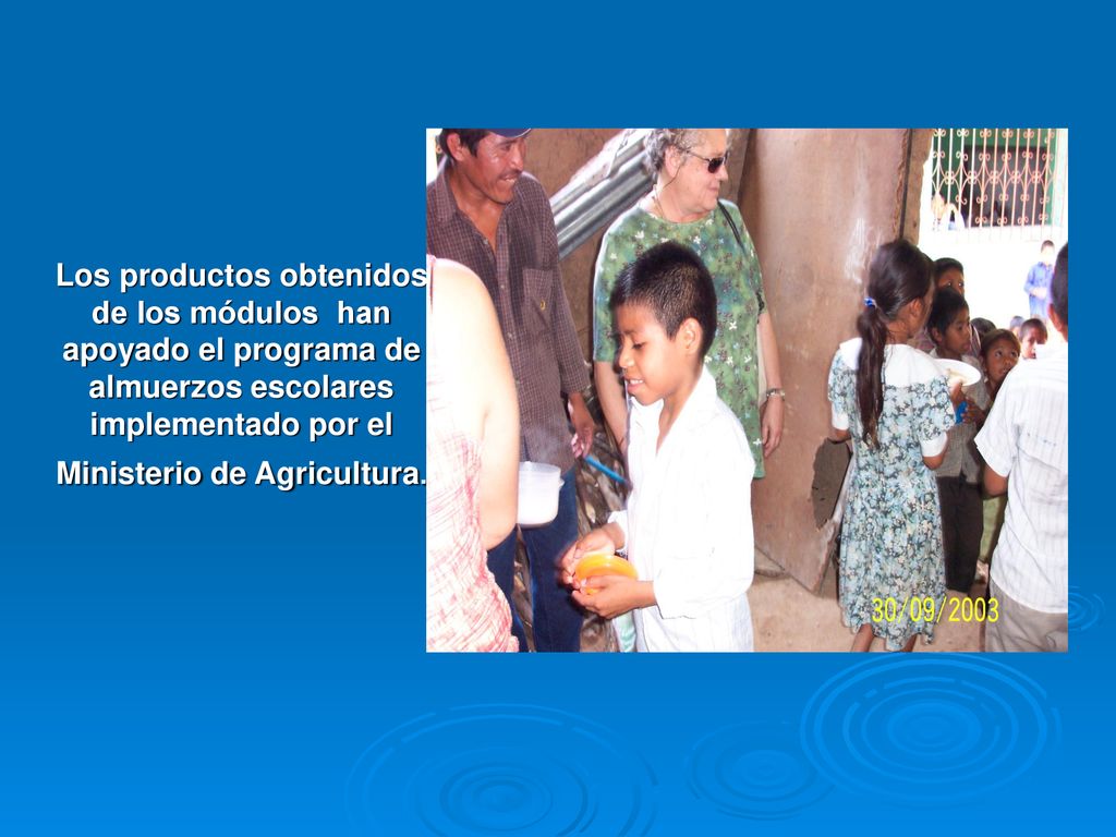 Los productos obtenidos de los módulos han apoyado el programa de almuerzos escolares implementado por el Ministerio de Agricultura.