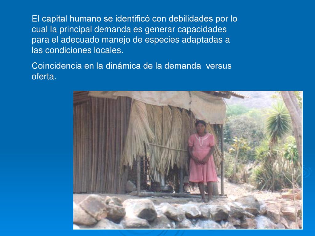 El capital humano se identificó con debilidades por lo cual la principal demanda es generar capacidades para el adecuado manejo de especies adaptadas a las condiciones locales.