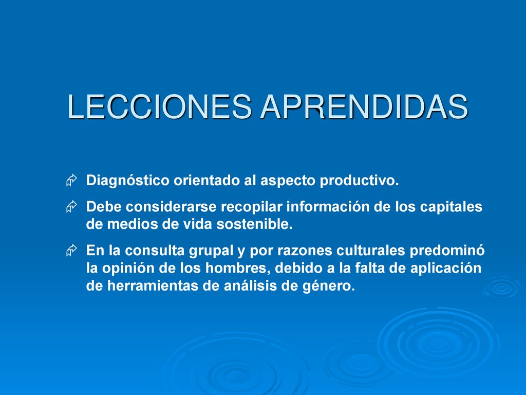 LECCIONES APRENDIDAS Diagnóstico orientado al aspecto productivo.