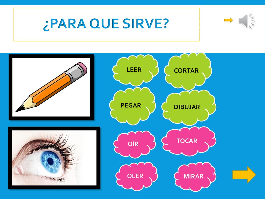 ¿PARA QUE SIRVE HAZ CLIC LEER CORTAR PEGAR DIBUJAR TOCAR OÍR OLER