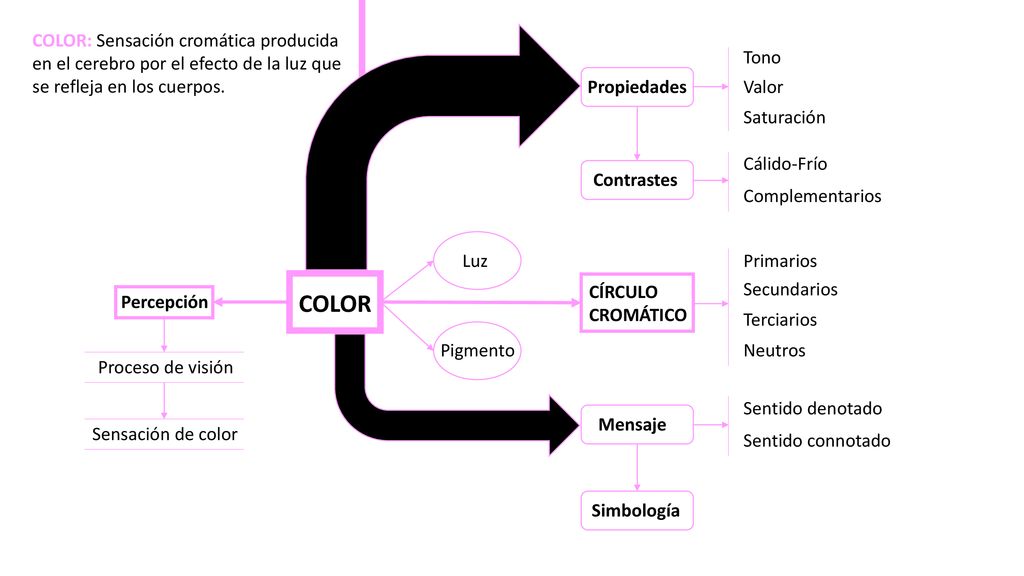 COLOR: Sensación cromática producida en el cerebro por el efecto de la luz que se refleja en los cuerpos.