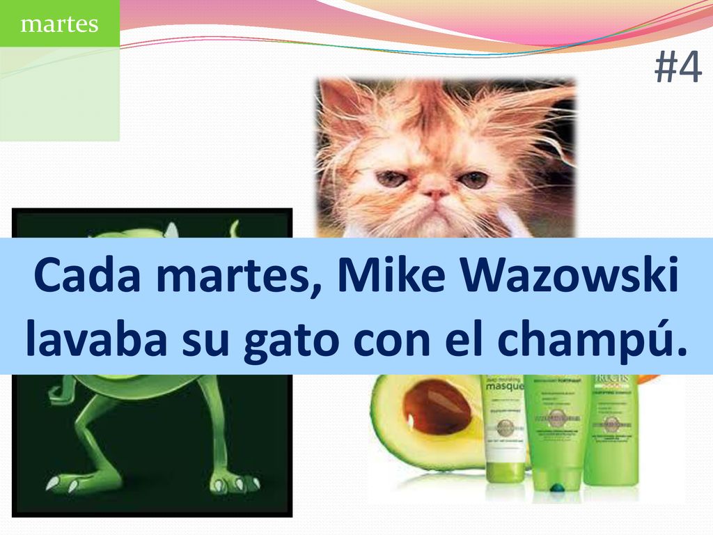 Cada martes, Mike Wazowski lavaba su gato con el champú.
