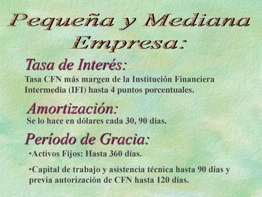 Tasa de Interés: Amortización: Período de Gracia: Pequeña y Mediana