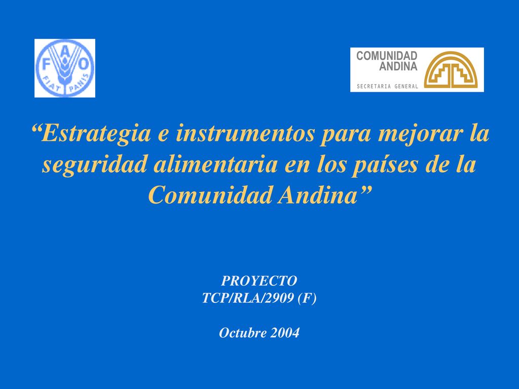 Estrategia e instrumentos para mejorar la seguridad alimentaria en los países de la Comunidad Andina PROYECTO TCP/RLA/2909 (F) Octubre 2004