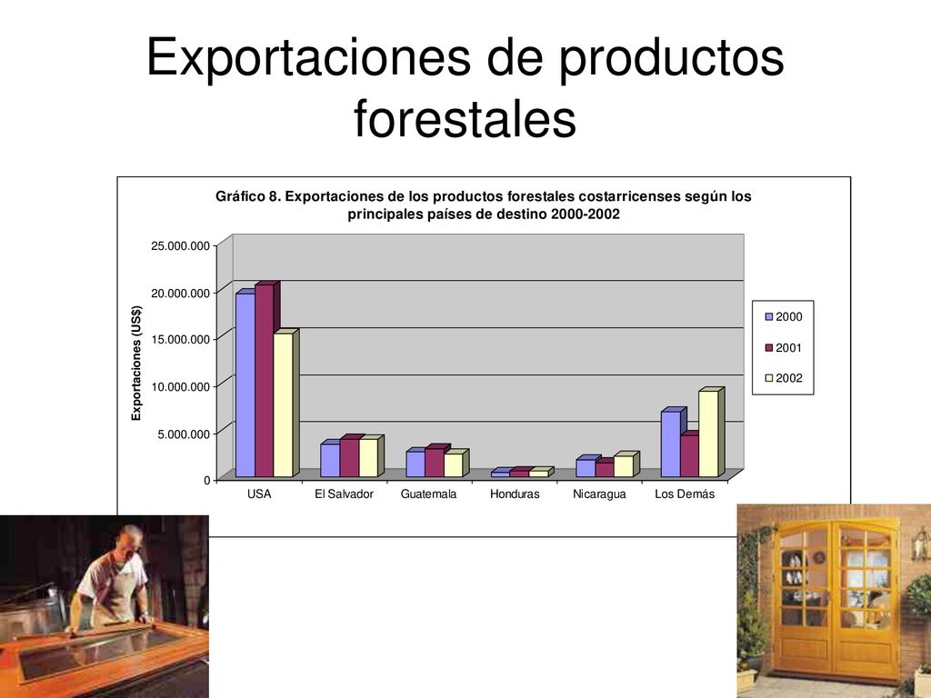 Exportaciones de productos forestales