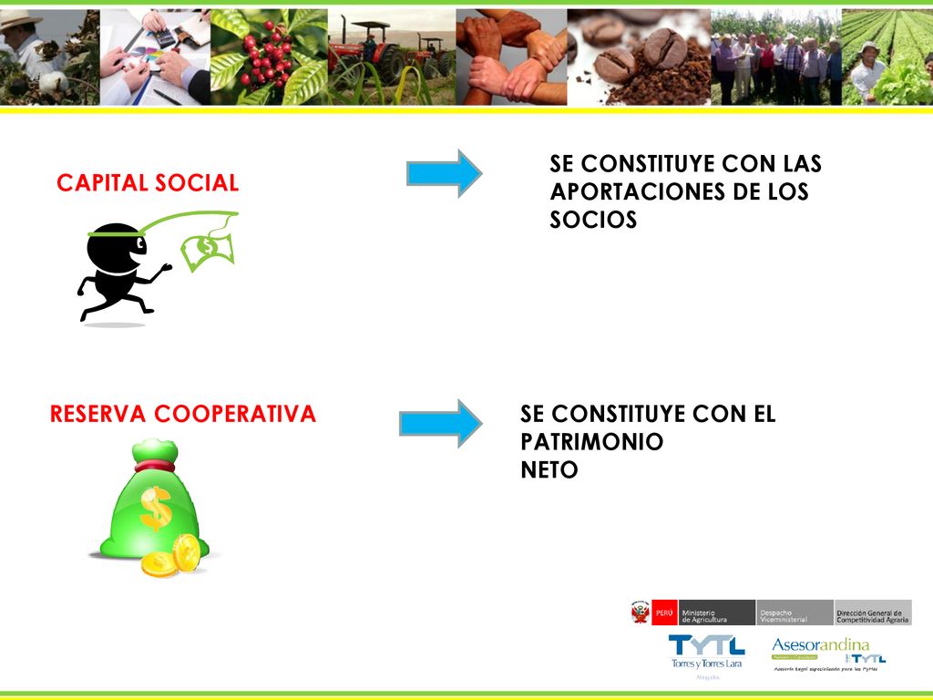 SE CONSTITUYE CON LAS APORTACIONES DE LOS. SOCIOS. CAPITAL SOCIAL. RESERVA COOPERATIVA. SE CONSTITUYE CON EL PATRIMONIO.