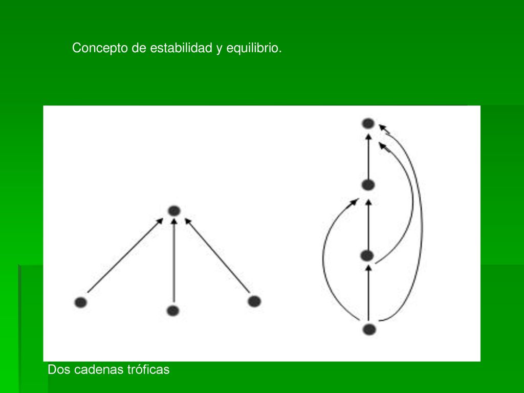 Concepto de estabilidad y equilibrio.