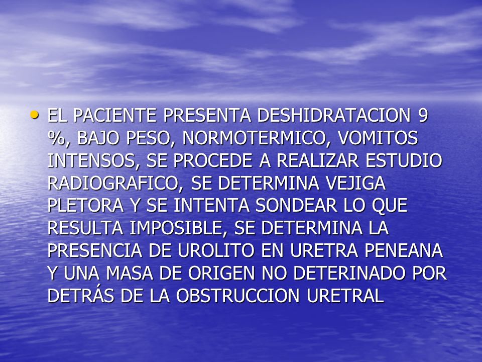 EL PACIENTE PRESENTA DESHIDRATACION 9 %, BAJO PESO, NORMOTERMICO, VOMITOS INTENSOS, SE PROCEDE A REALIZAR ESTUDIO RADIOGRAFICO, SE DETERMINA VEJIGA PLETORA Y SE INTENTA SONDEAR LO QUE RESULTA IMPOSIBLE, SE DETERMINA LA PRESENCIA DE UROLITO EN URETRA PENEANA Y UNA MASA DE ORIGEN NO DETERINADO POR DETRÁS DE LA OBSTRUCCION URETRAL