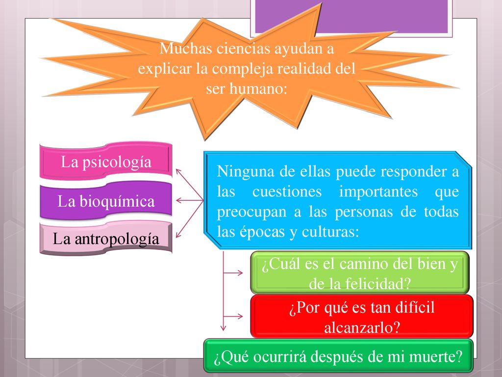 Muchas ciencias ayudan a explicar la compleja realidad del ser humano: