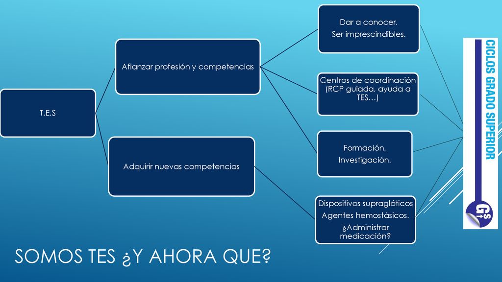 Somos tes ¿Y Ahora que Dar a conocer. Ser imprescindibles.