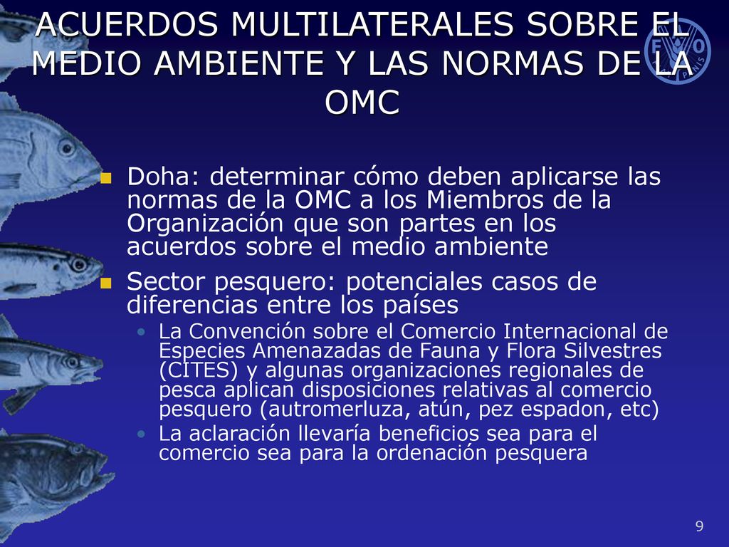 ACUERDOS MULTILATERALES SOBRE EL MEDIO AMBIENTE Y LAS NORMAS DE LA OMC