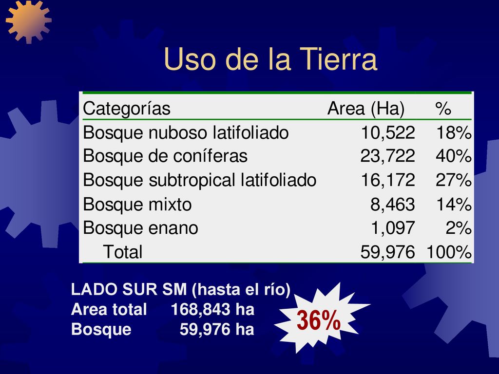 Uso de la Tierra 36% 67% LADO SUR SM (hasta el río)