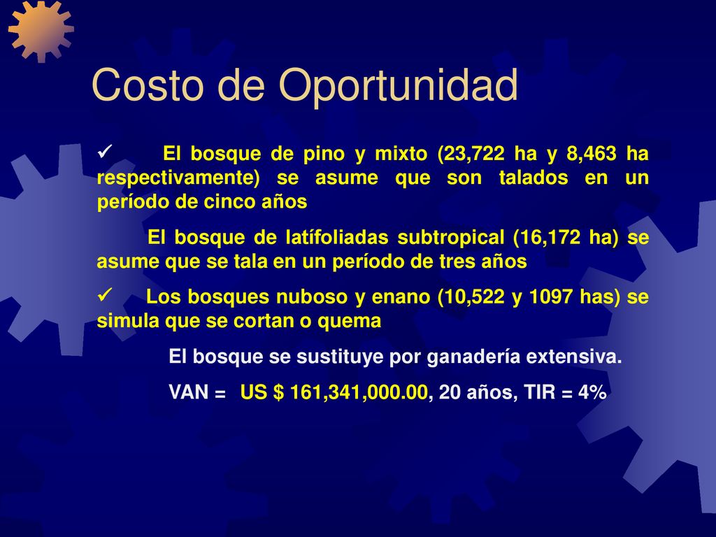 Costo de Oportunidad ü El bosque de pino y mixto (23,722 ha y 8,463 ha respectivamente) se asume que son talados en un período de cinco años.