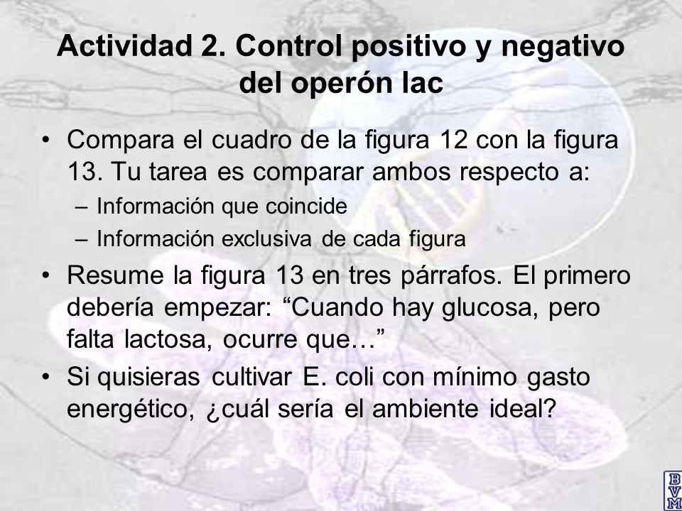 Actividad 2. Control positivo y negativo del operón lac