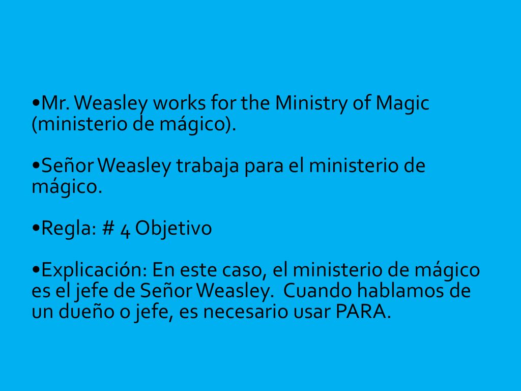 Mr. Weasley works for the Ministry of Magic (ministerio de mágico).