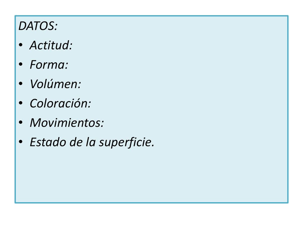 DATOS: Actitud: Forma: Volúmen: Coloración: Movimientos: Estado de la superficie.