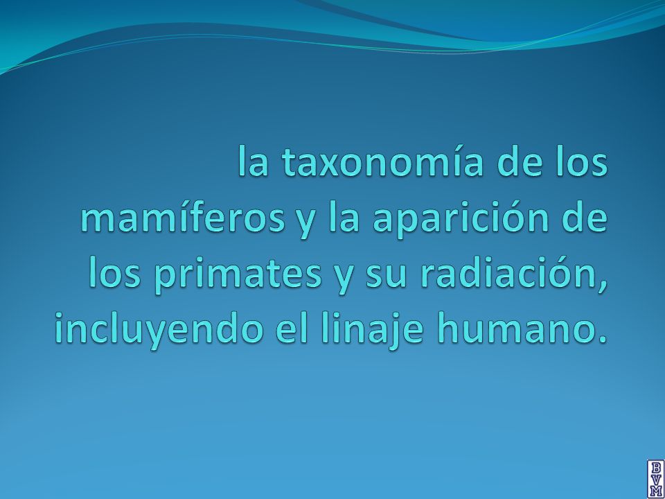 la taxonomía de los mamíferos y la aparición de los primates y su radiación, incluyendo el linaje humano.